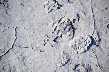Footprints of a shoe on earth