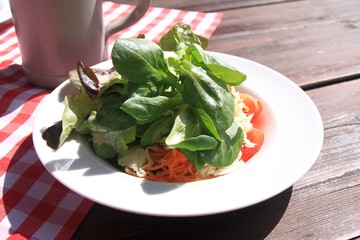 Lunch in the garden, spring salad witah, tomato, rucola, carrots, apium