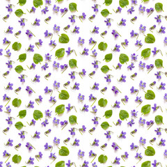 pattern of violet and green leaves