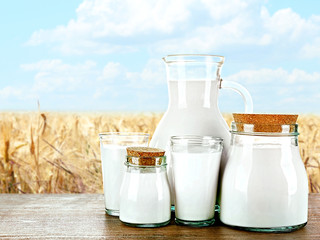 Pitcher, jars and glasses of milk on wooden table against wheat field and blue sky background