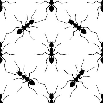 Seamless pattern with ant .Formica exsecta.   hand-drawn ant. Vector