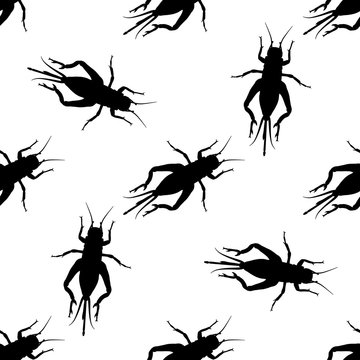Seamless pattern with cricket or grig. Gryllus campestris.    hand-drawn cricket. grig. . Vector