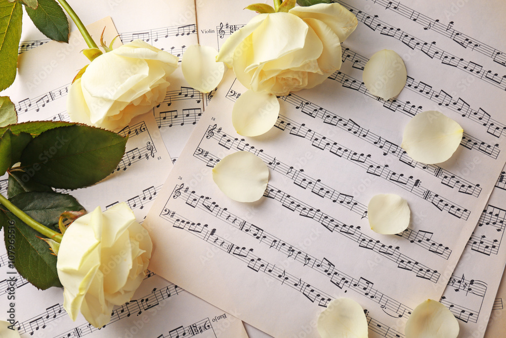 Poster beautiful rose on music sheets background