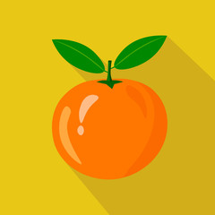 Orange flat icon