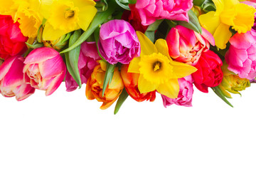 Fototapeta na wymiar bouquet of tulips and daffodils