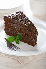 Chocolate cake with chocolate cream on plate, on light background