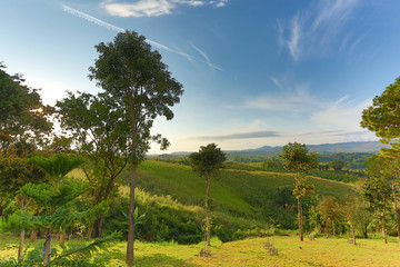 Obraz premium Landscape