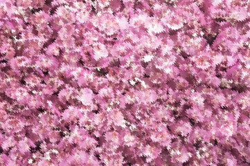 abstract purple background, created in photoshop