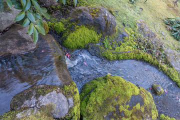 Small Fresh Waterfall 3
