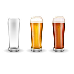 Three Transparent Glasses of Lager  