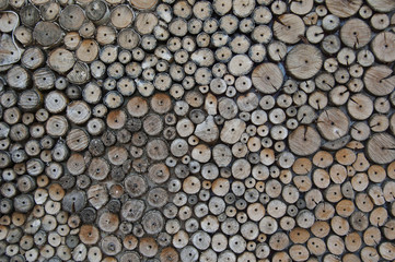 wooden background. wooden rounds nailed to wall