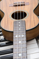 Obraz premium Ukulele