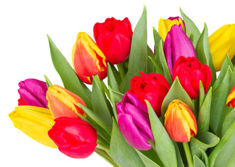 Obraz premium bouquet of yellow, purple and red tulips