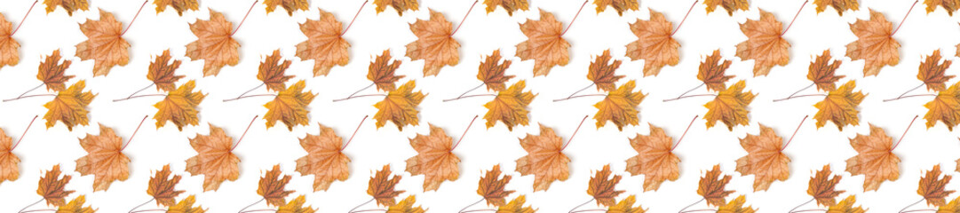 Naklejka na ściany i meble panorama header pattern repeat maple leaf autumn