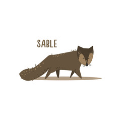 Sable Vector Illustration