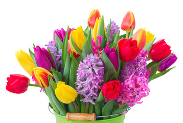 hyacinths and tulips