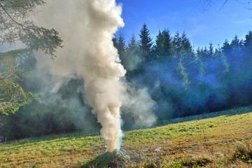 Dym z ogniska na polanie