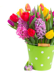 hyacinths and tulips