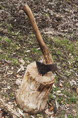 Old axe sticking in the skin