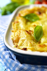 Lasagna - traditional dish of italian cuisine.