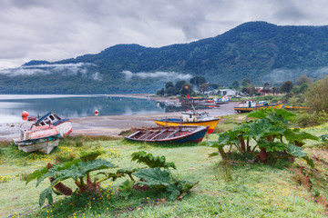 Puyuhuapi fjord, patagonia, chile
