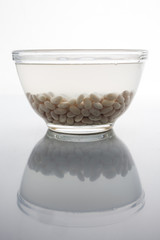 White beans soaked in water in glass bowl on white background with reflection