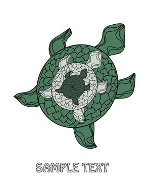 ornamental turtle on a white background