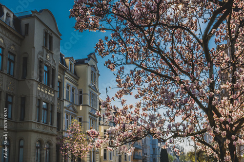 "Hausfassaden aus der Gründerzeit" Stockfotos und lizenzfreie Bilder