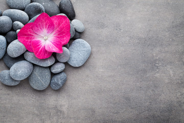 Fototapeta na wymiar Spa stones and flowers, on grey background.