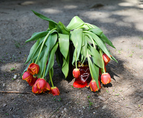 Tulpen verwelken