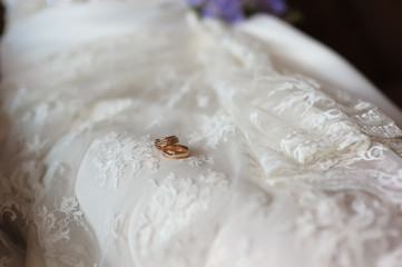 Rings on the wedding dress