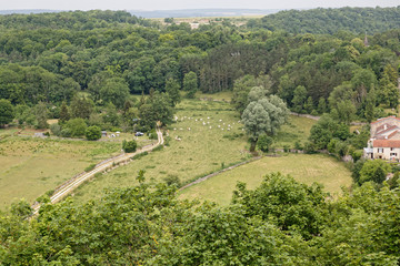 Campagne chaumontaise, Chaumont sur Marne, Haute-Marne