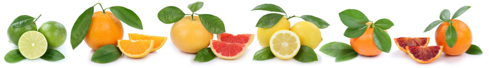 Collage Orangen Zitrone Mandarine Grapefruit in einer Reihe bio