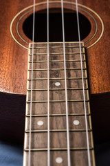 Ukulele