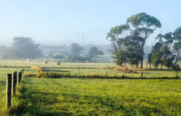 Fototapeta premium Foggy morning