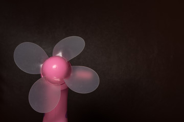 Fototapeta premium Fan