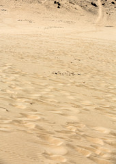 The desert landscape  Costa Calma on Fuerteventura.  Canary Island. Spain