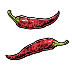 Chili. Vector vintage engraved illustration for menu, poster, web. Isolated on white background.