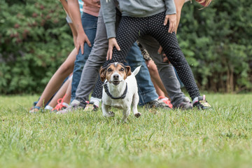 Hund und Kinder spielen und beschäftigen sich miteinander