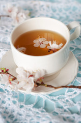 Spring herbal tea with cherry blossom