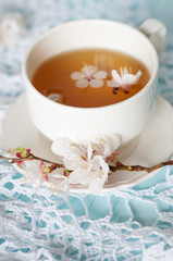 Spring herbal tea with cherry blossom