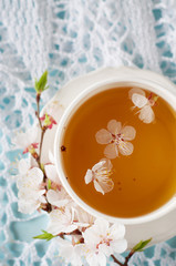Spring herbal tea with cherry blossom