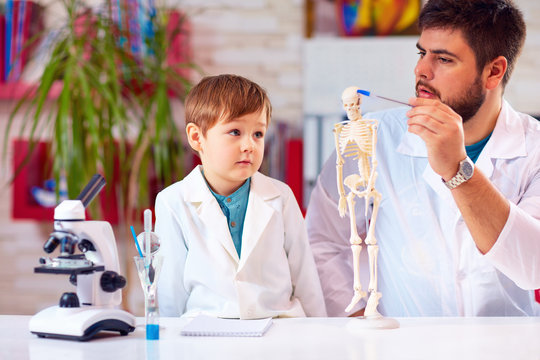 teacher explains a human body structure to little pupil