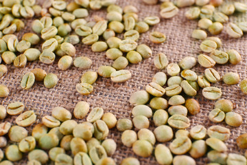 Green coffee beans on sackcloth material.