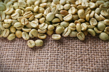 Green coffee beans on sackcloth