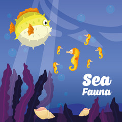 Naklejka na ściany i meble Sea Fauna graphic design, vector illustration