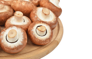 Champignon (True mushroom) on wooden board