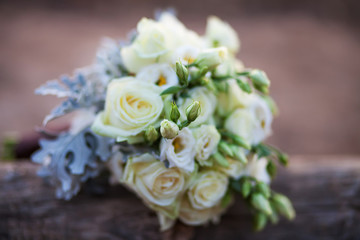 wedding will be lies on a log. nature. decline. .selective focus