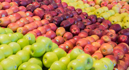 Delicious Apples Arranged Neatly at Apple Stand