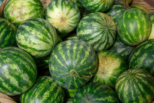 watermelon group from a marketplace